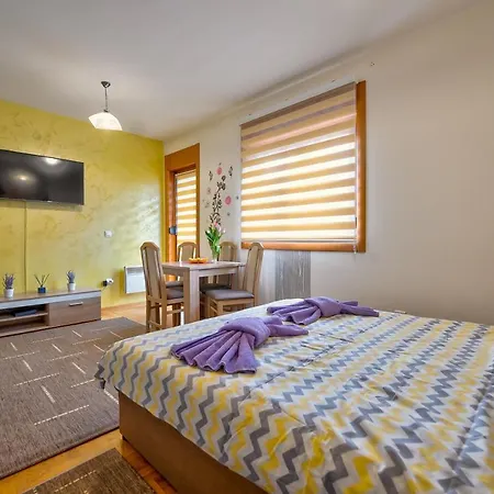 Snezana Lux דירה זלאטיבור